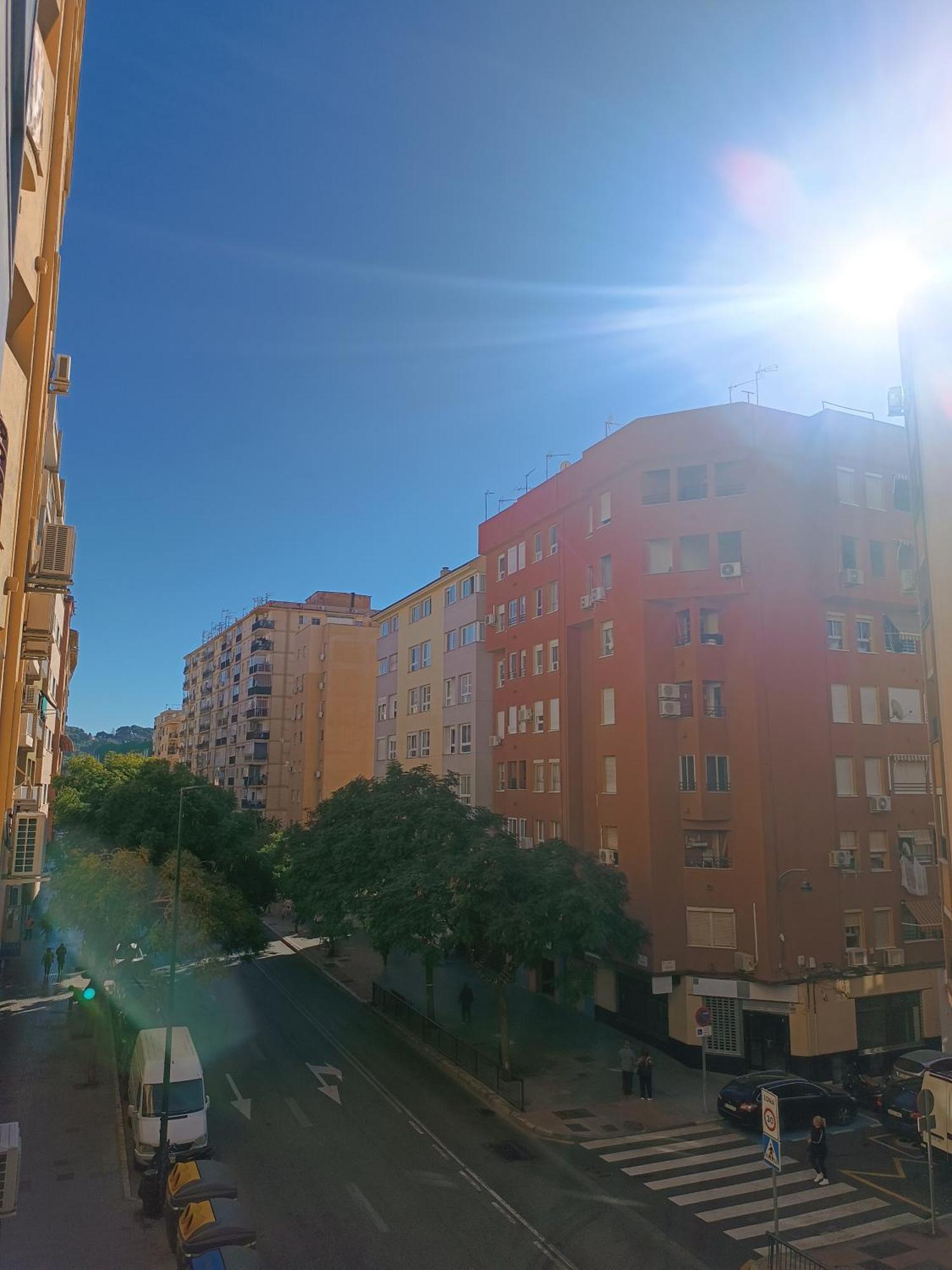 El Bambu Cerca Del Mar